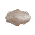 Berkley Gulp!® Saltwater Sand Crab Flea