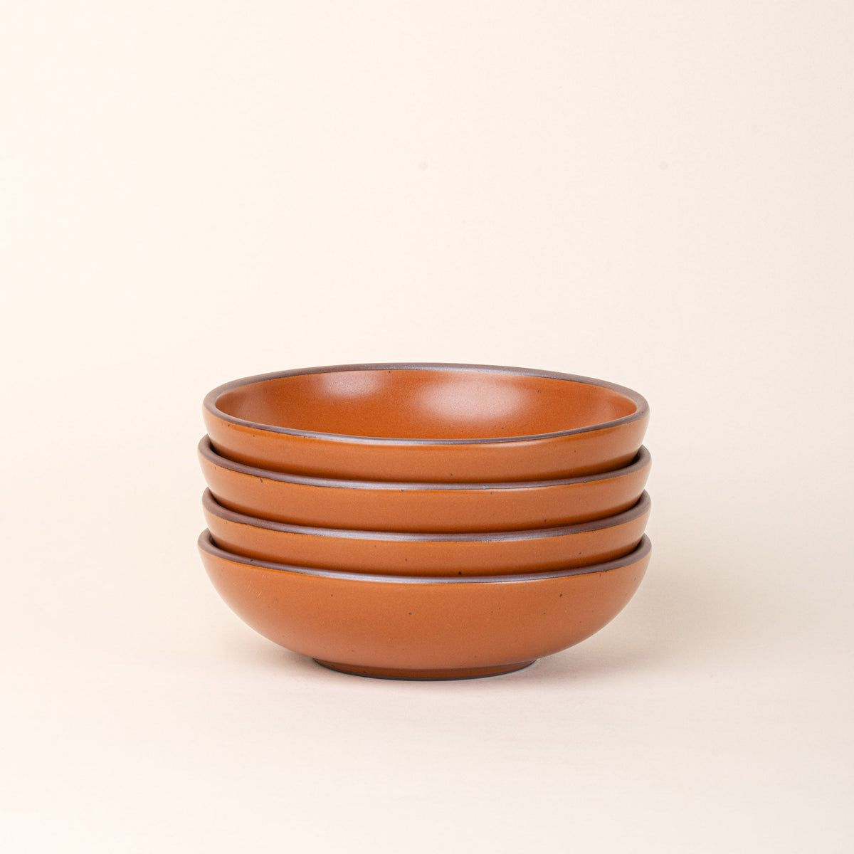 Everyday Bowl 4-Pack