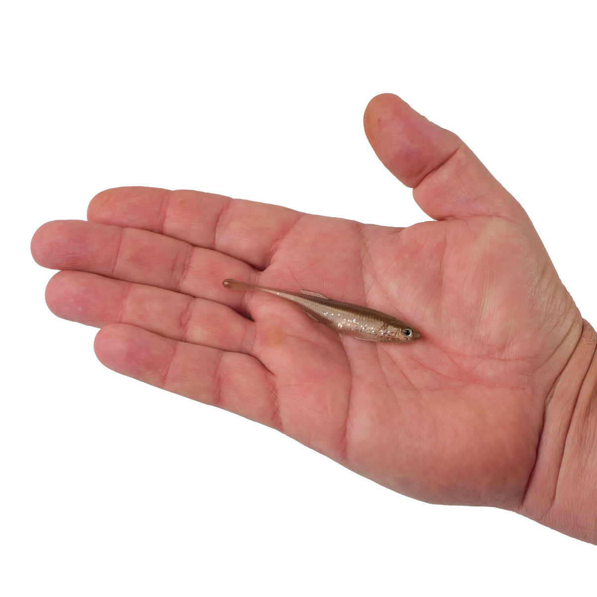 Berkley PowerBait® Drip Minnow