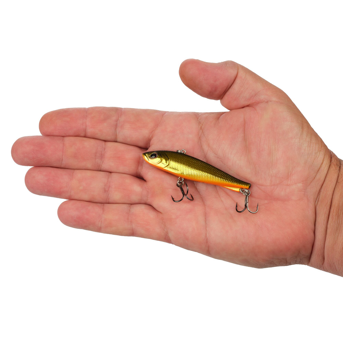 Berkley Ripfish