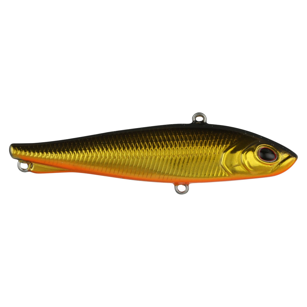 Berkley Ripfish