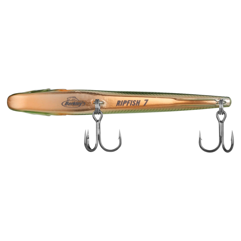 Berkley Ripfish