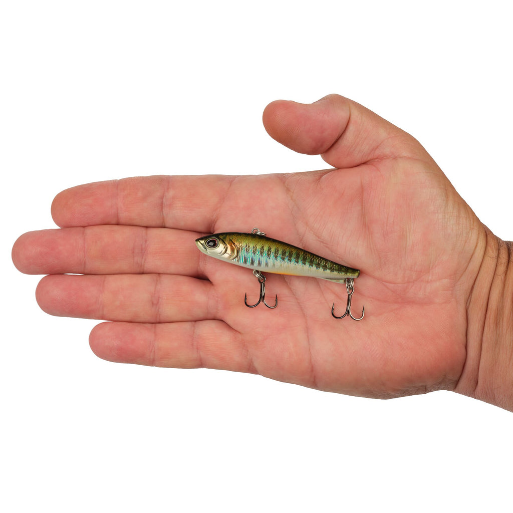 Berkley Ripfish