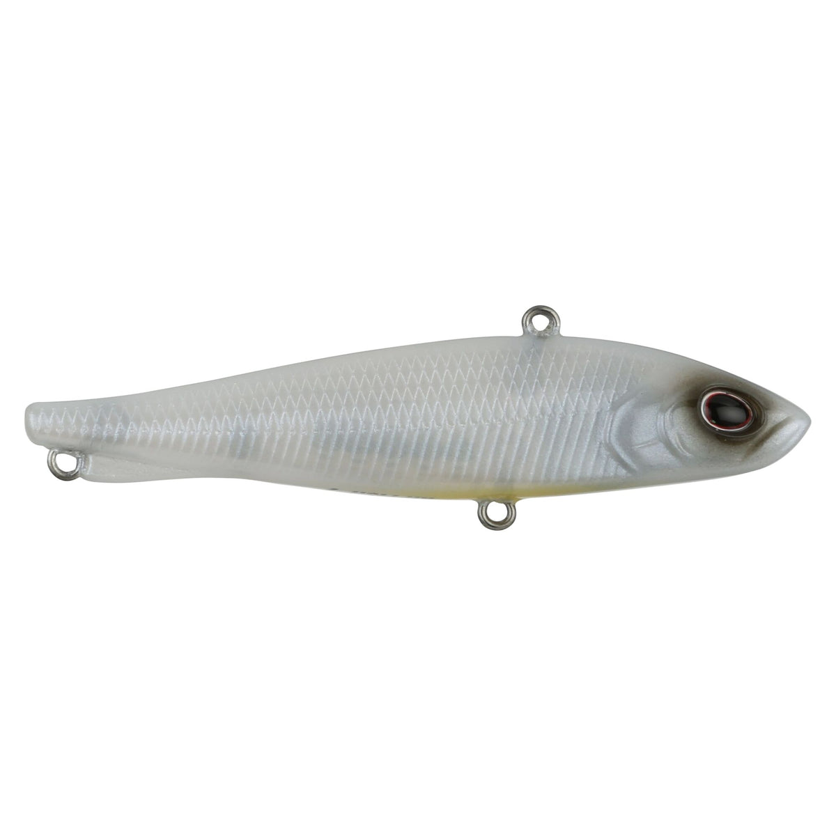 Berkley Ripfish