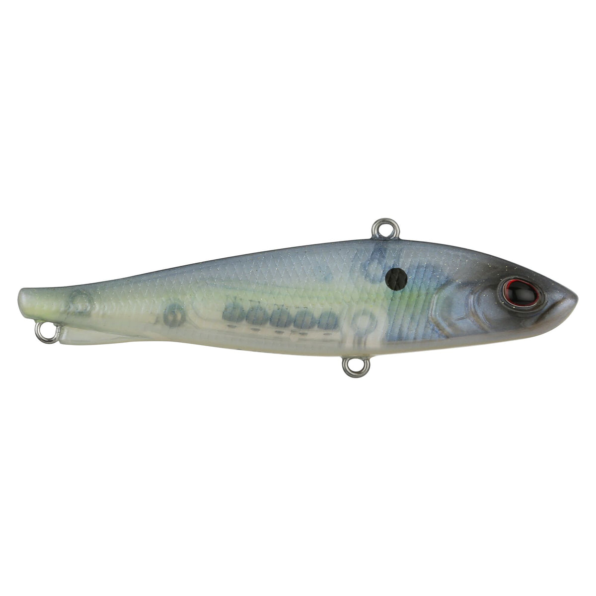 Berkley Ripfish
