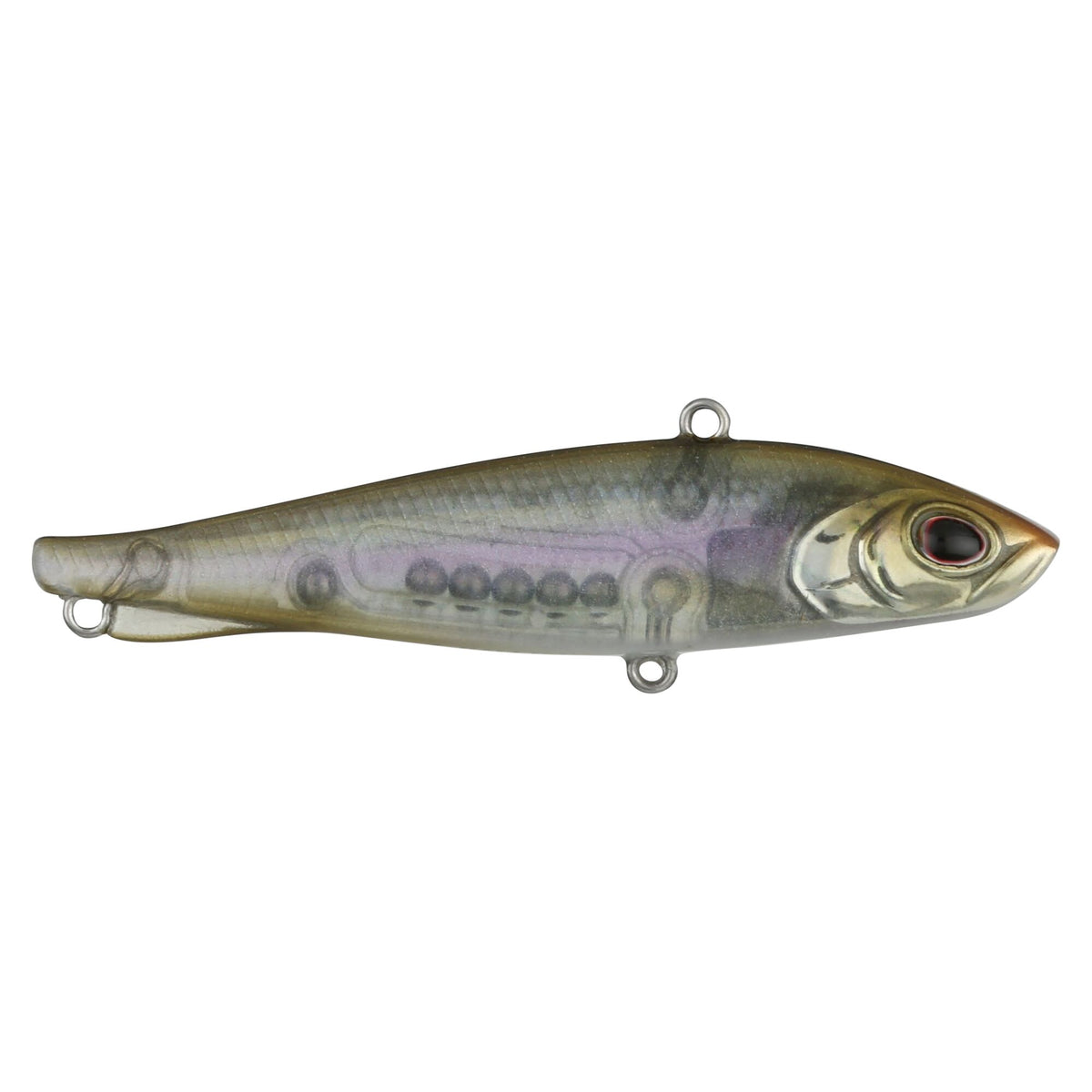 Berkley Ripfish