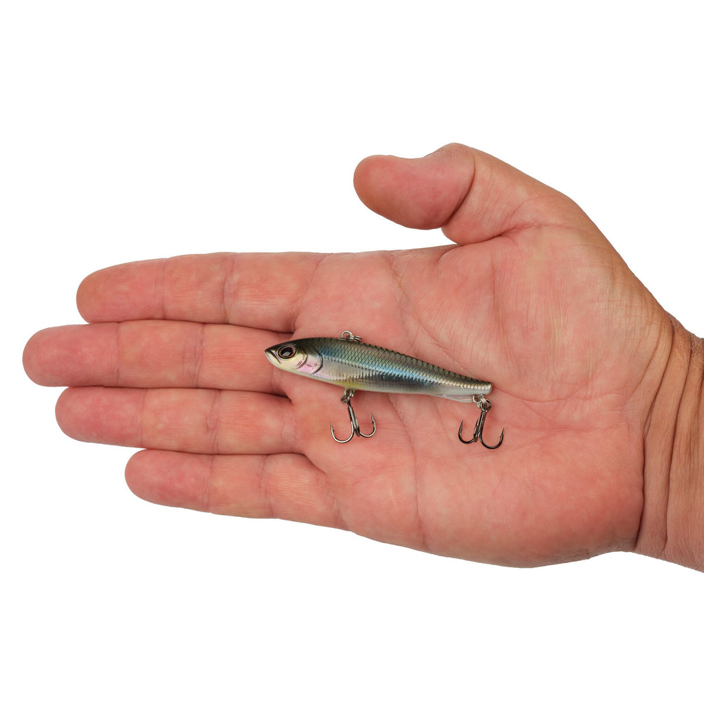 Berkley Ripfish