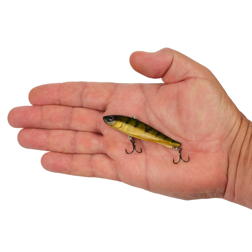 Berkley Ripfish