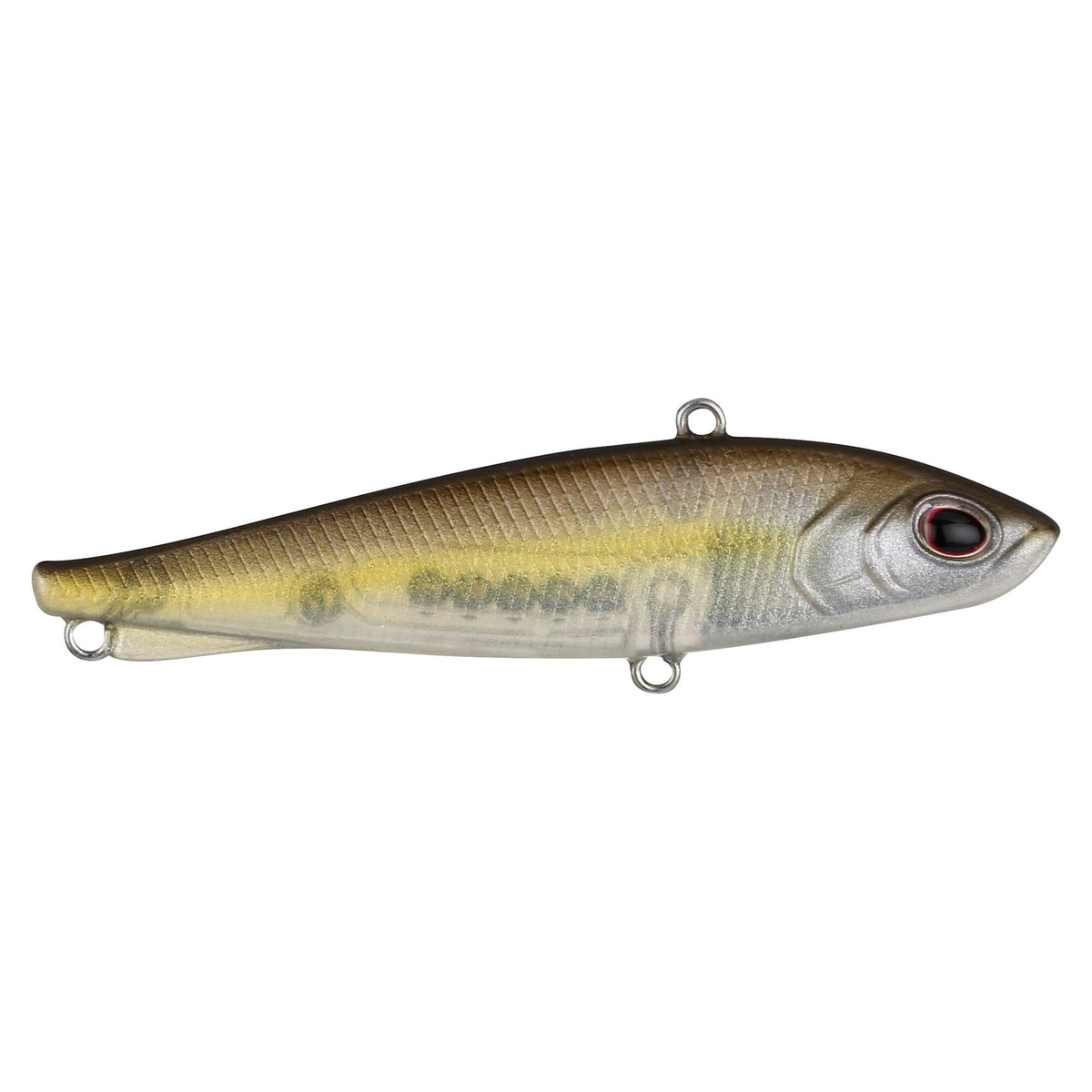 Berkley Ripfish