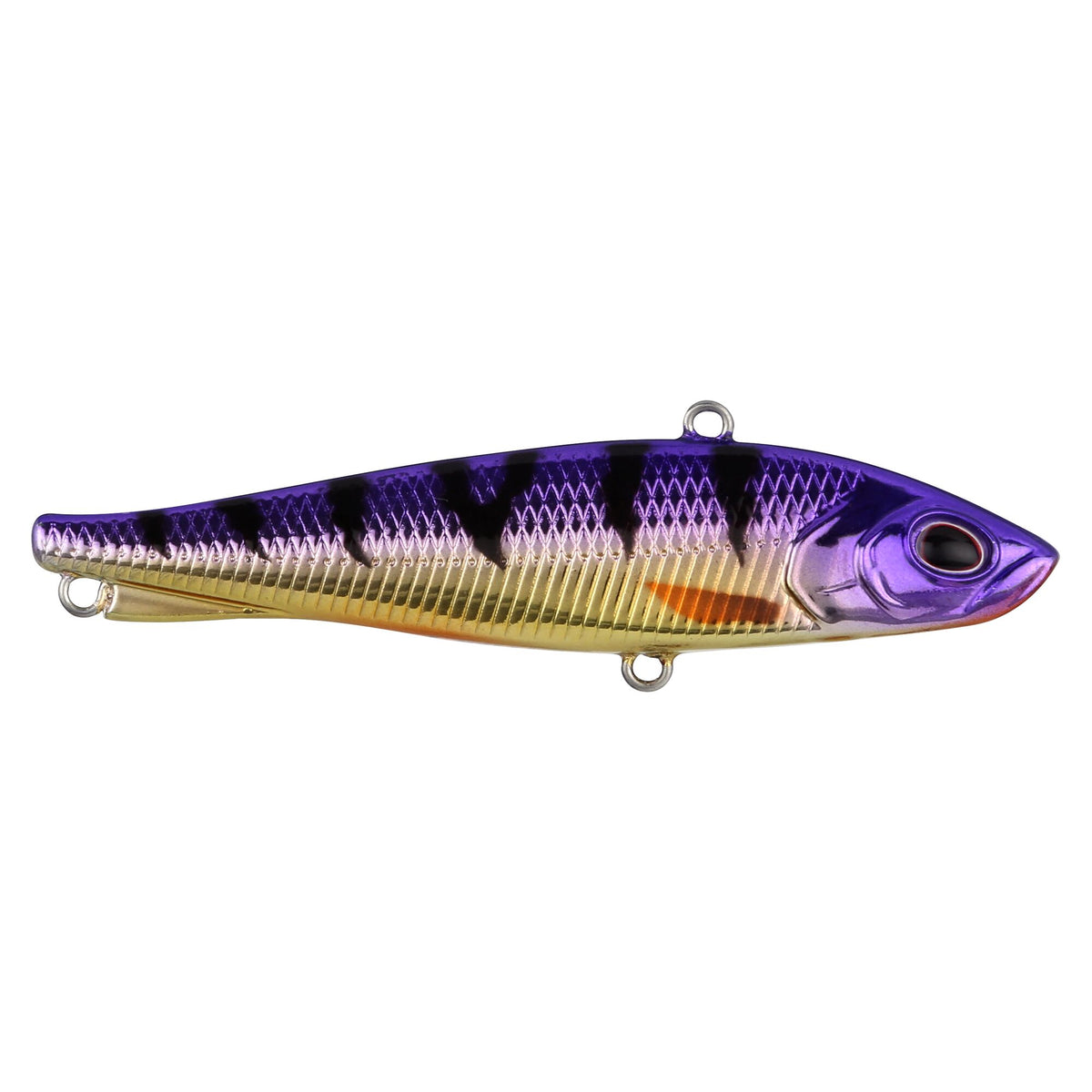 Berkley Ripfish