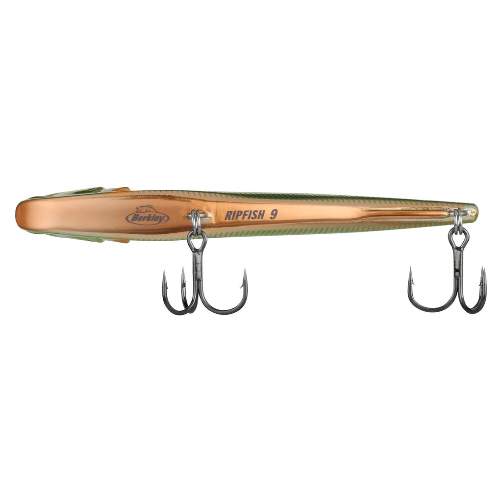 Berkley Ripfish