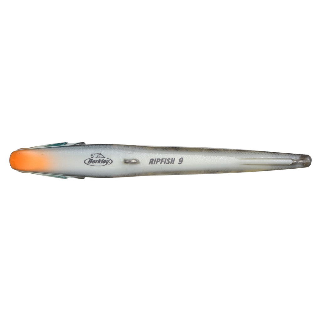 Berkley Ripfish
