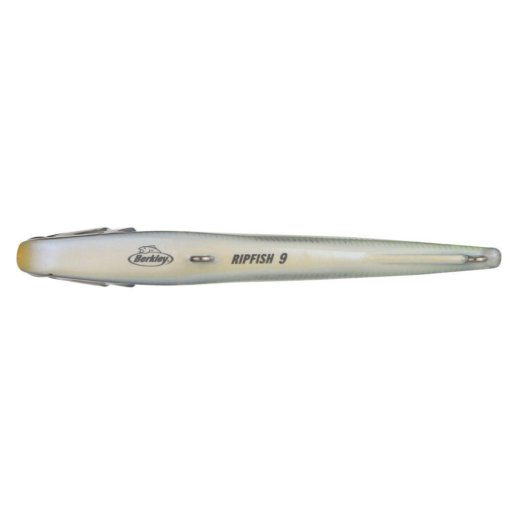 Berkley Ripfish