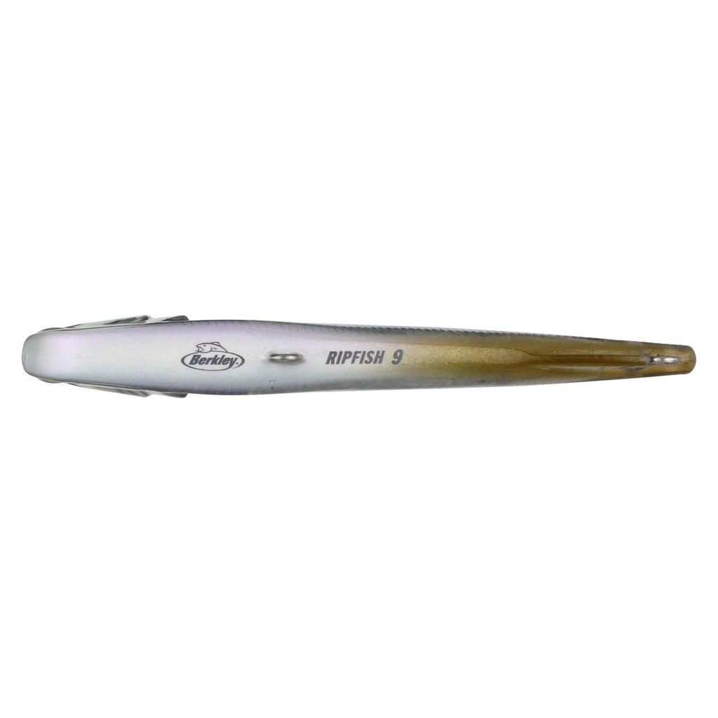 Berkley Ripfish