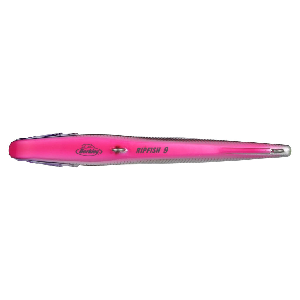 Berkley Ripfish
