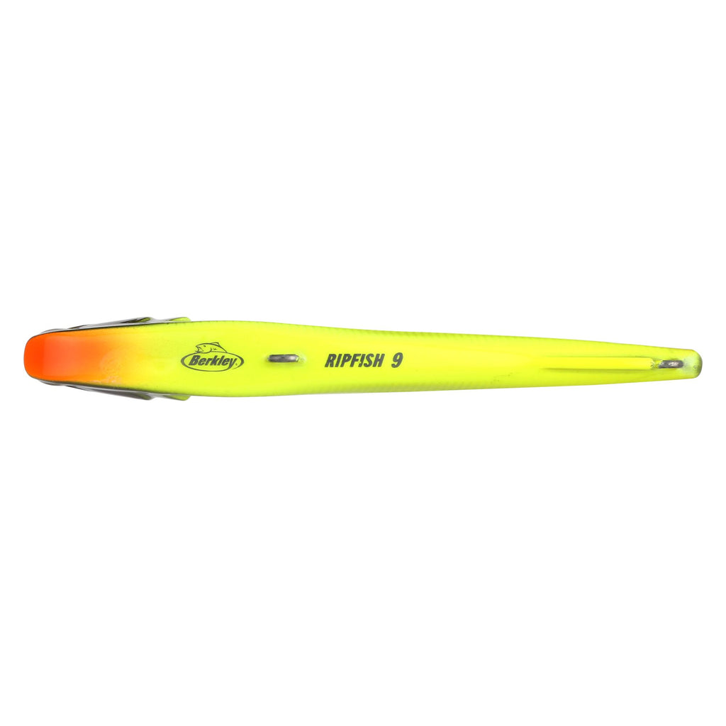Berkley Ripfish