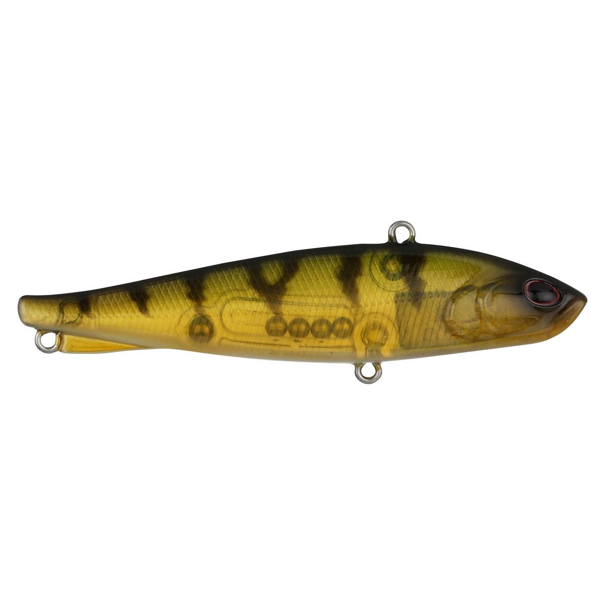 Berkley Ripfish