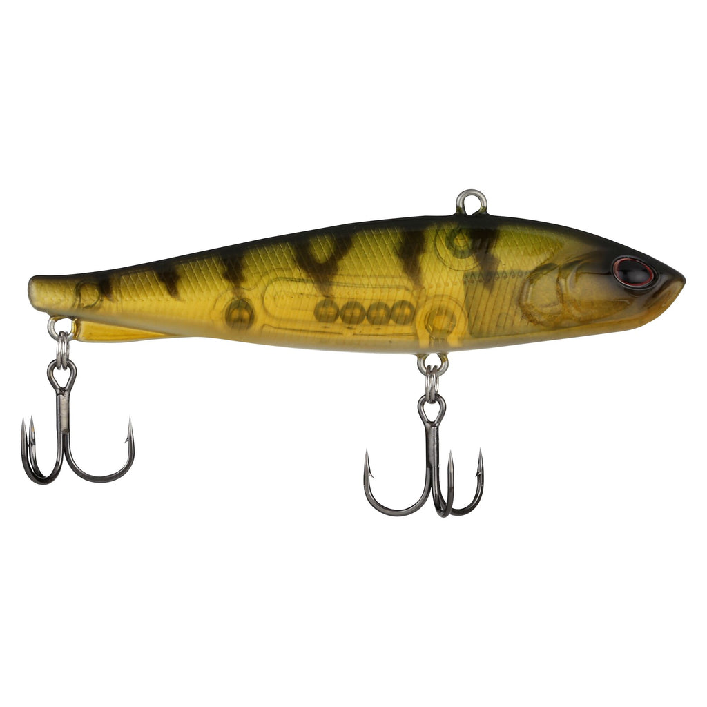 Berkley Ripfish