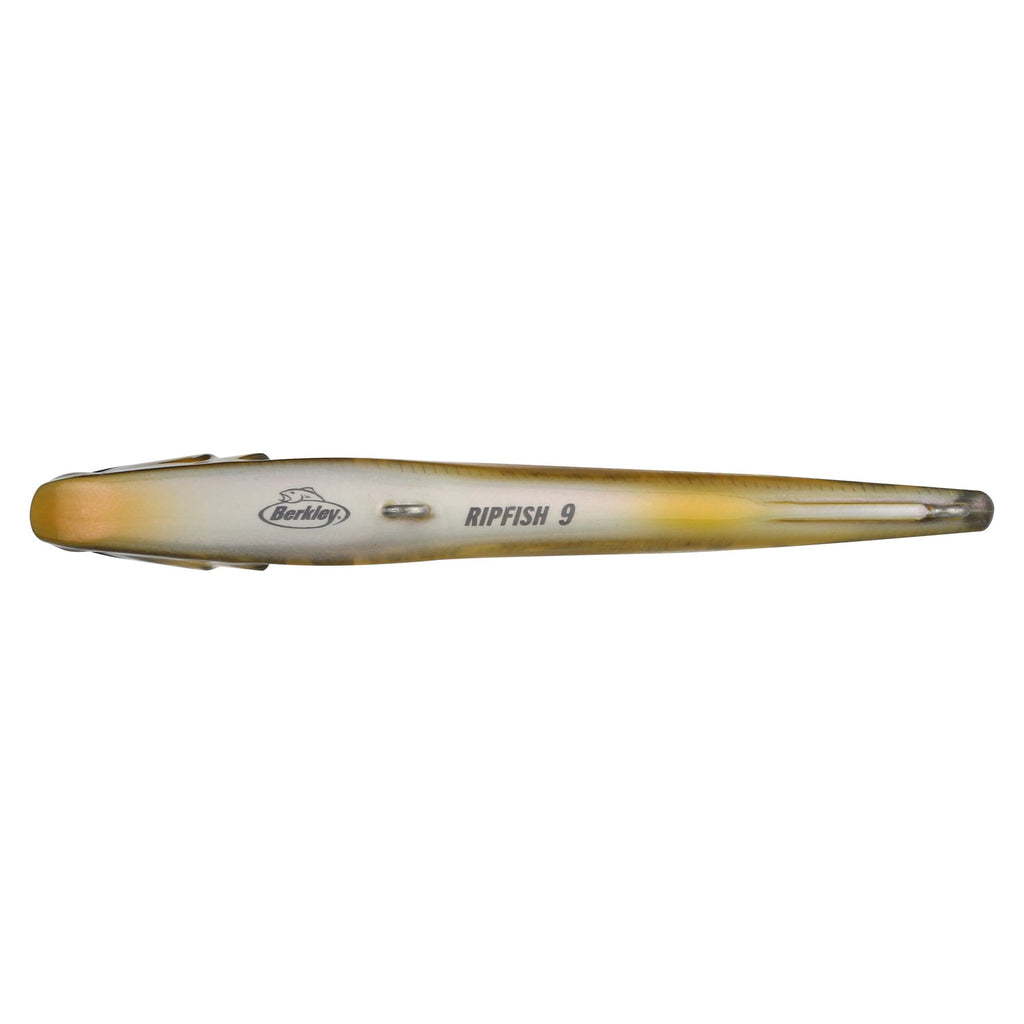 Berkley Ripfish