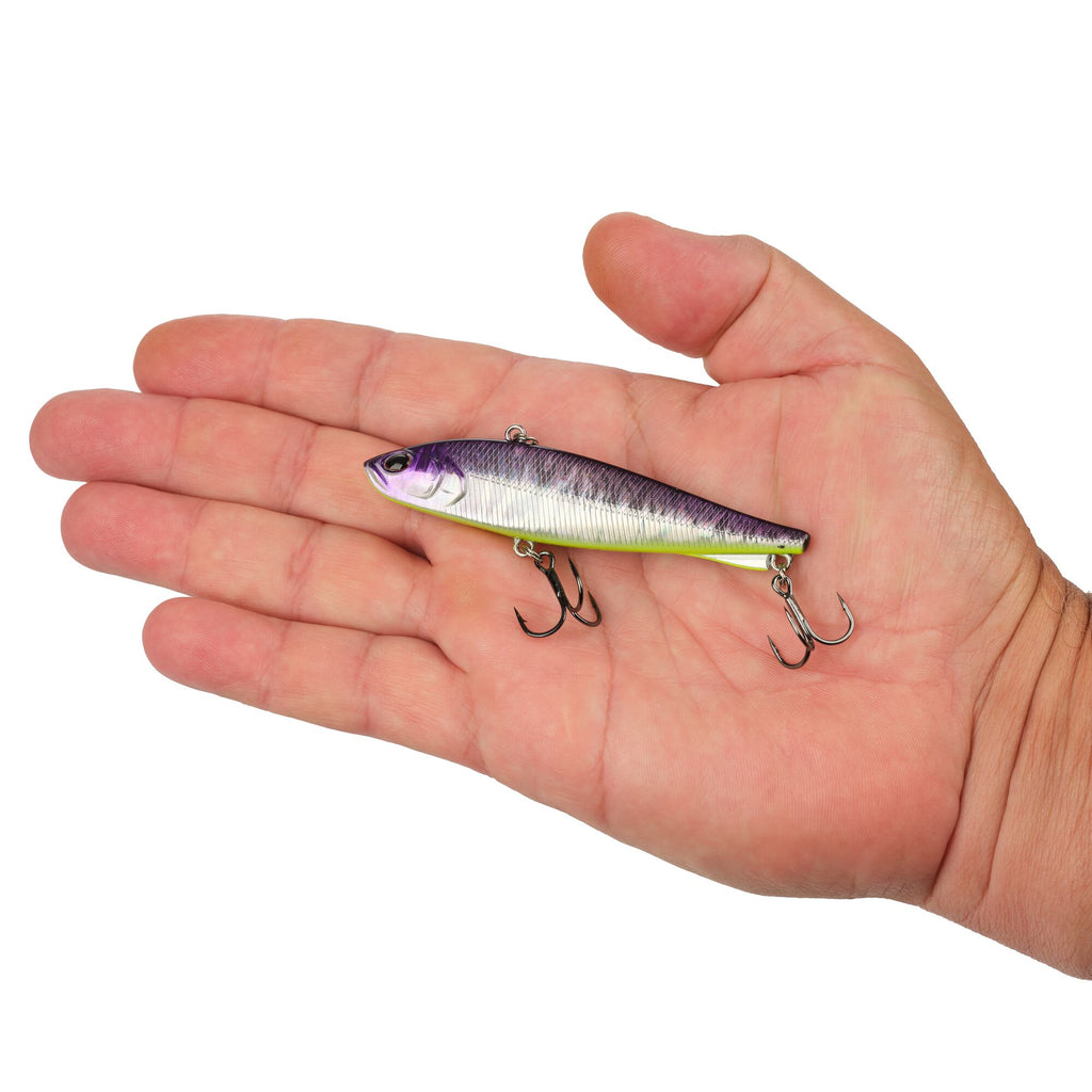 Berkley Ripfish