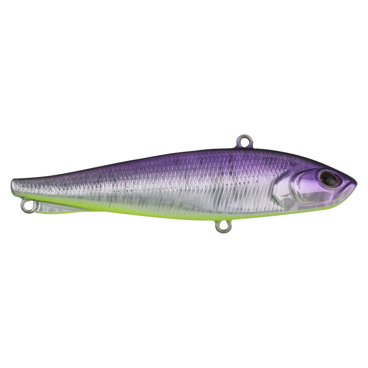 Berkley Ripfish