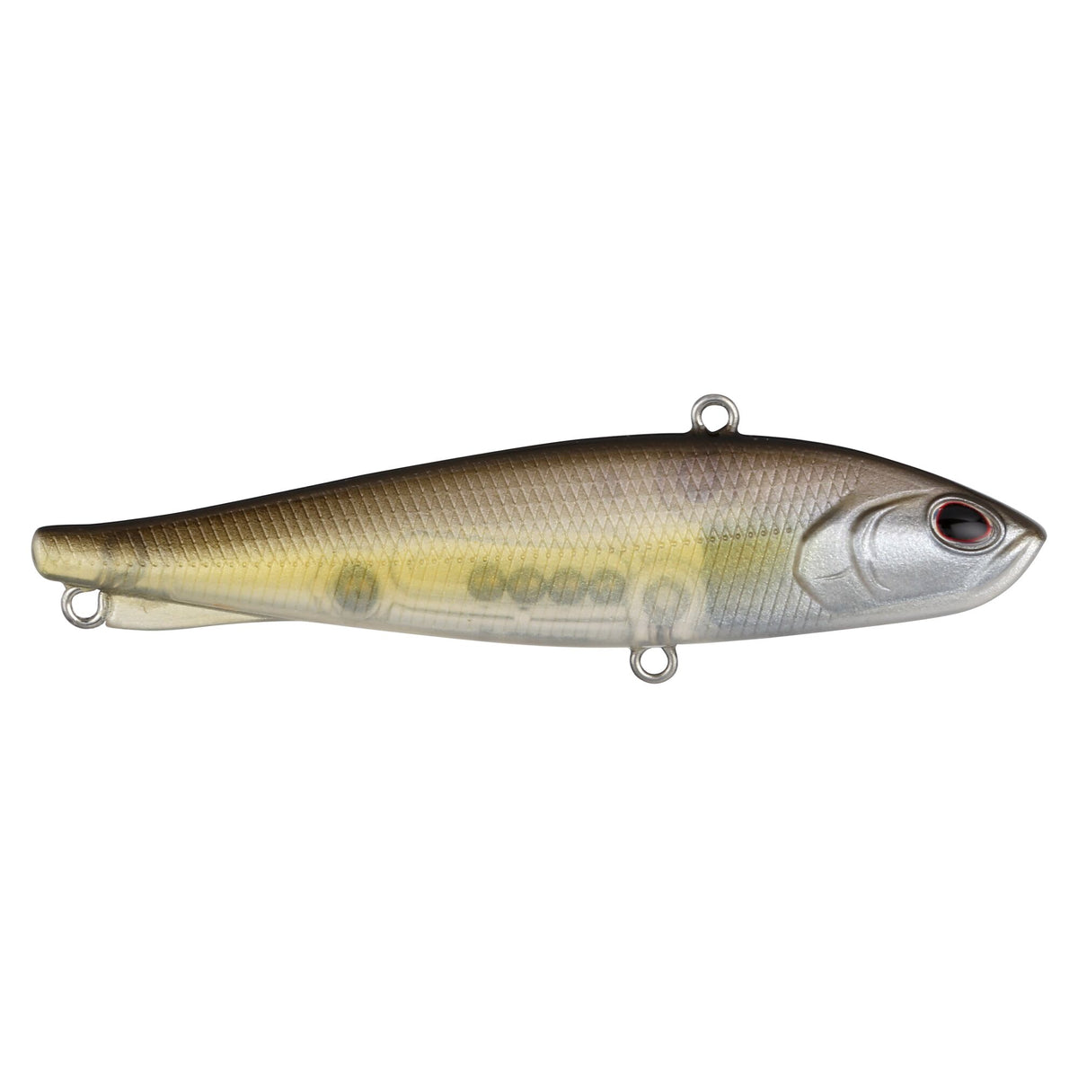 Berkley Ripfish
