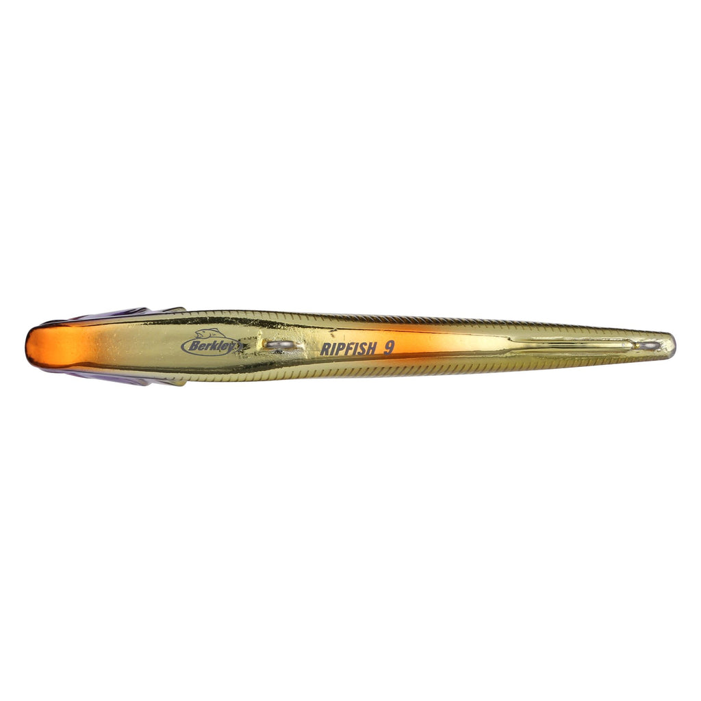 Berkley Ripfish