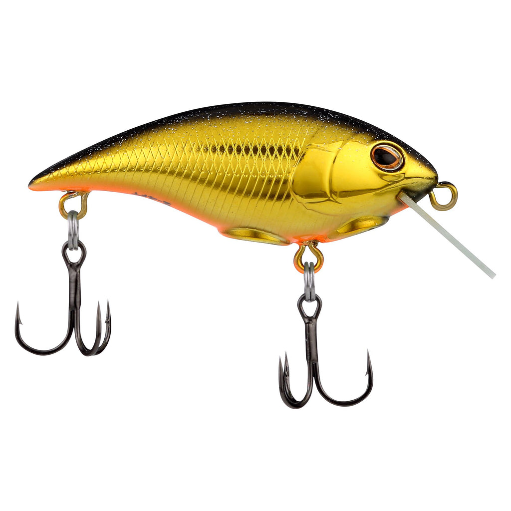 Berkley Shallow Money Badger