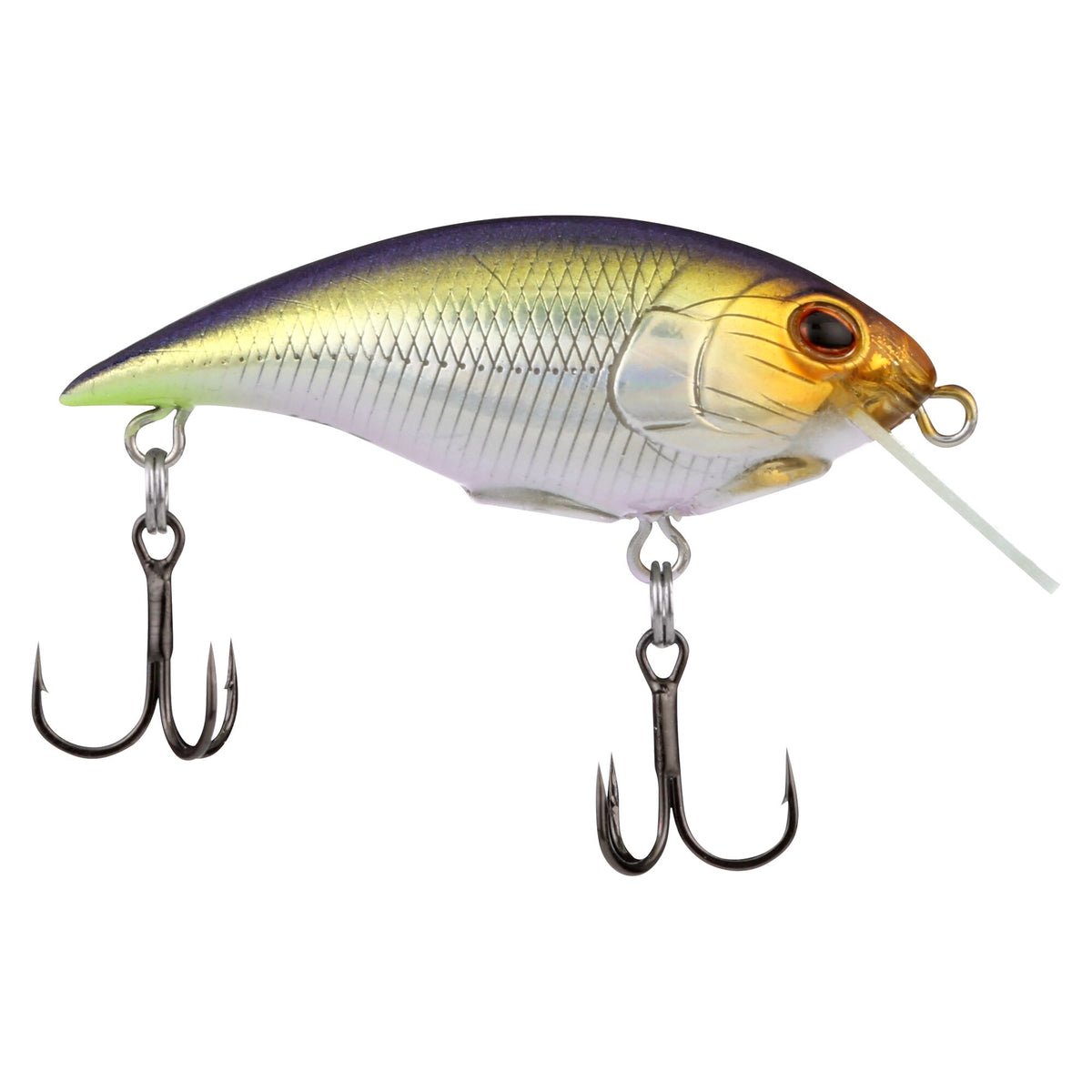 Berkley Shallow Money Badger