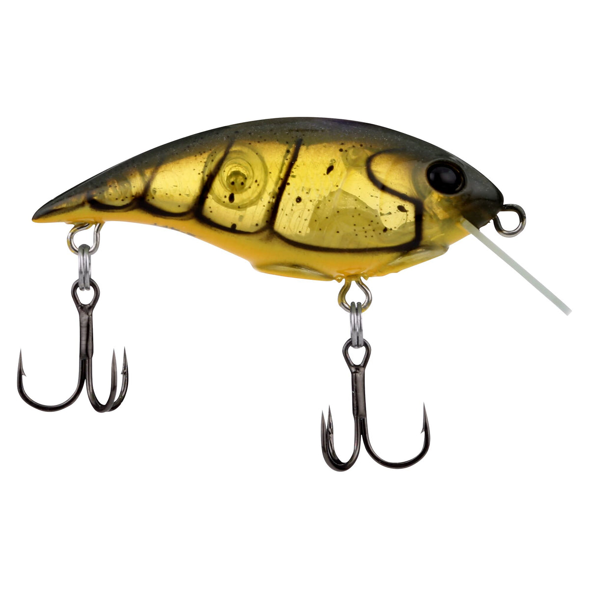 Berkley Shallow Money Badger