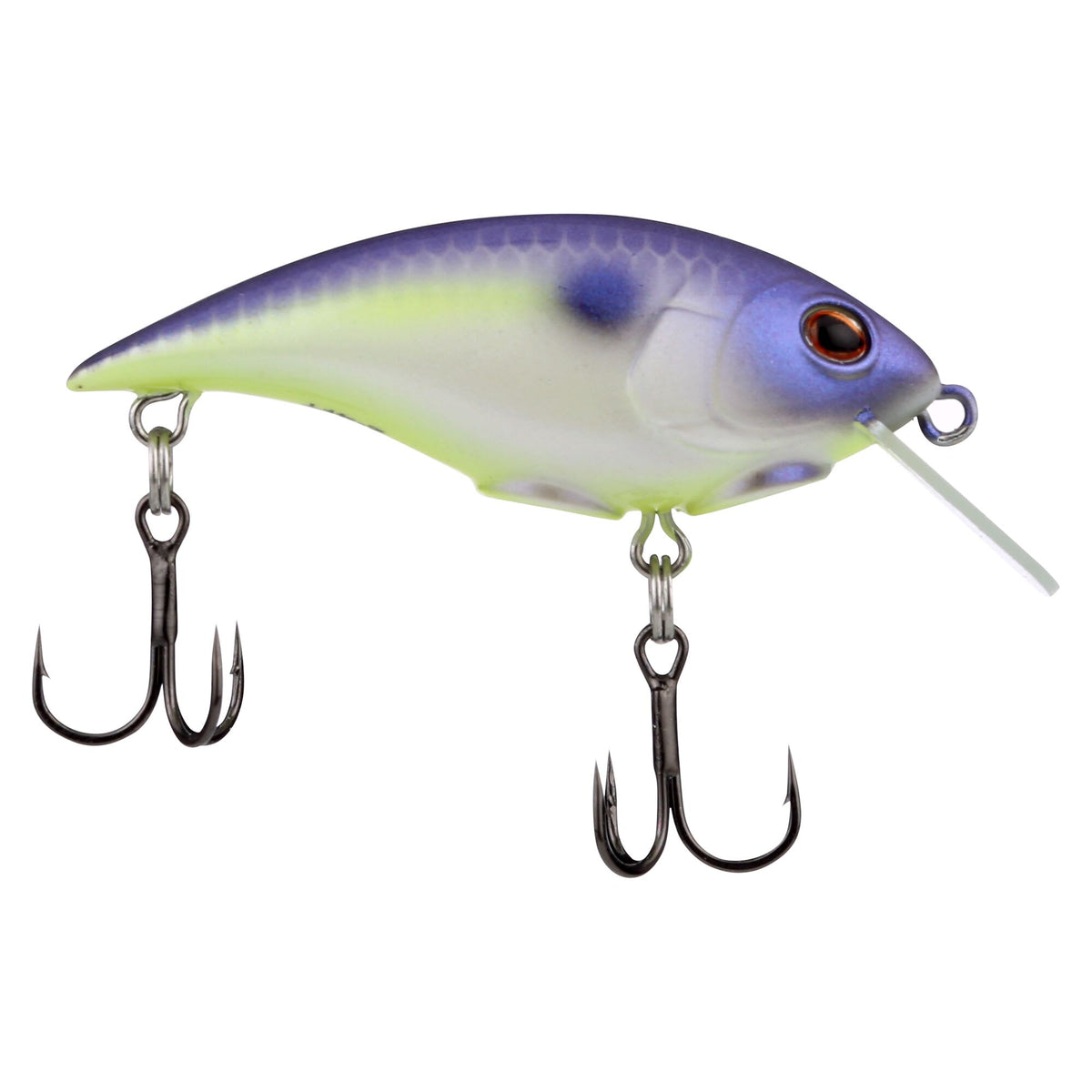 Berkley Shallow Money Badger
