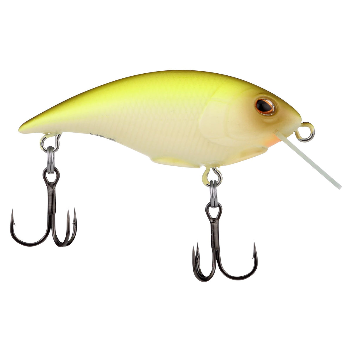 Berkley Shallow Money Badger