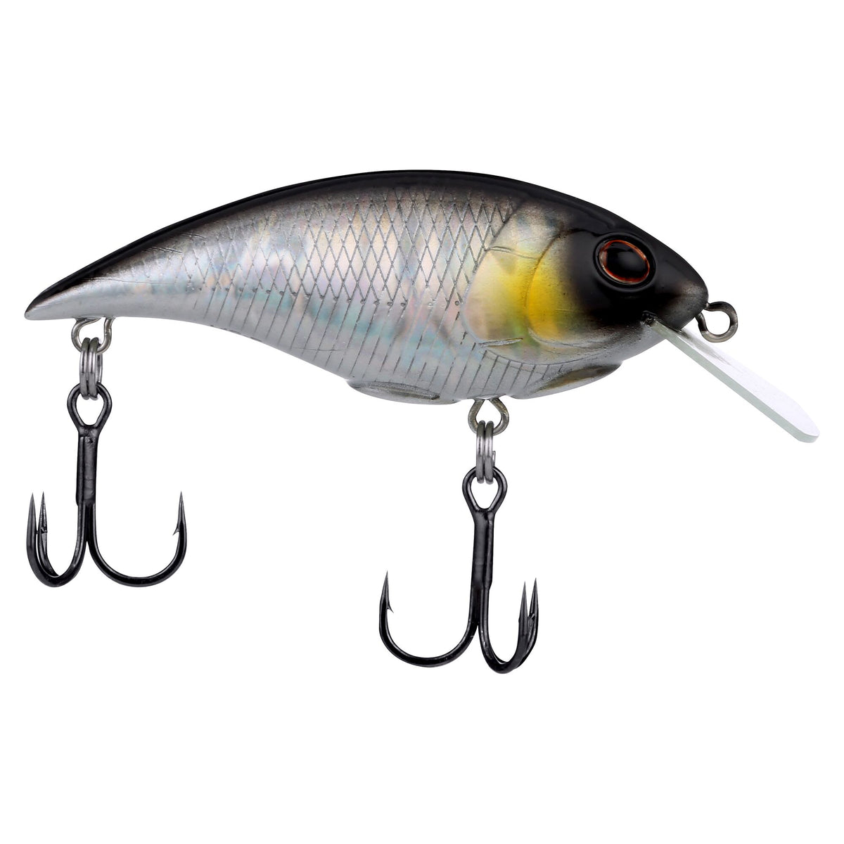 Berkley Shallow Money Badger