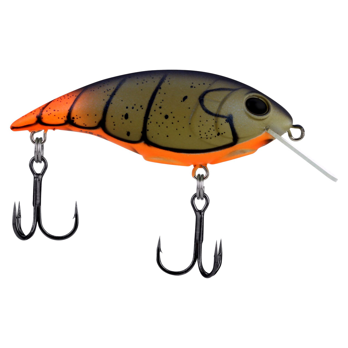 Berkley Shallow Money Badger