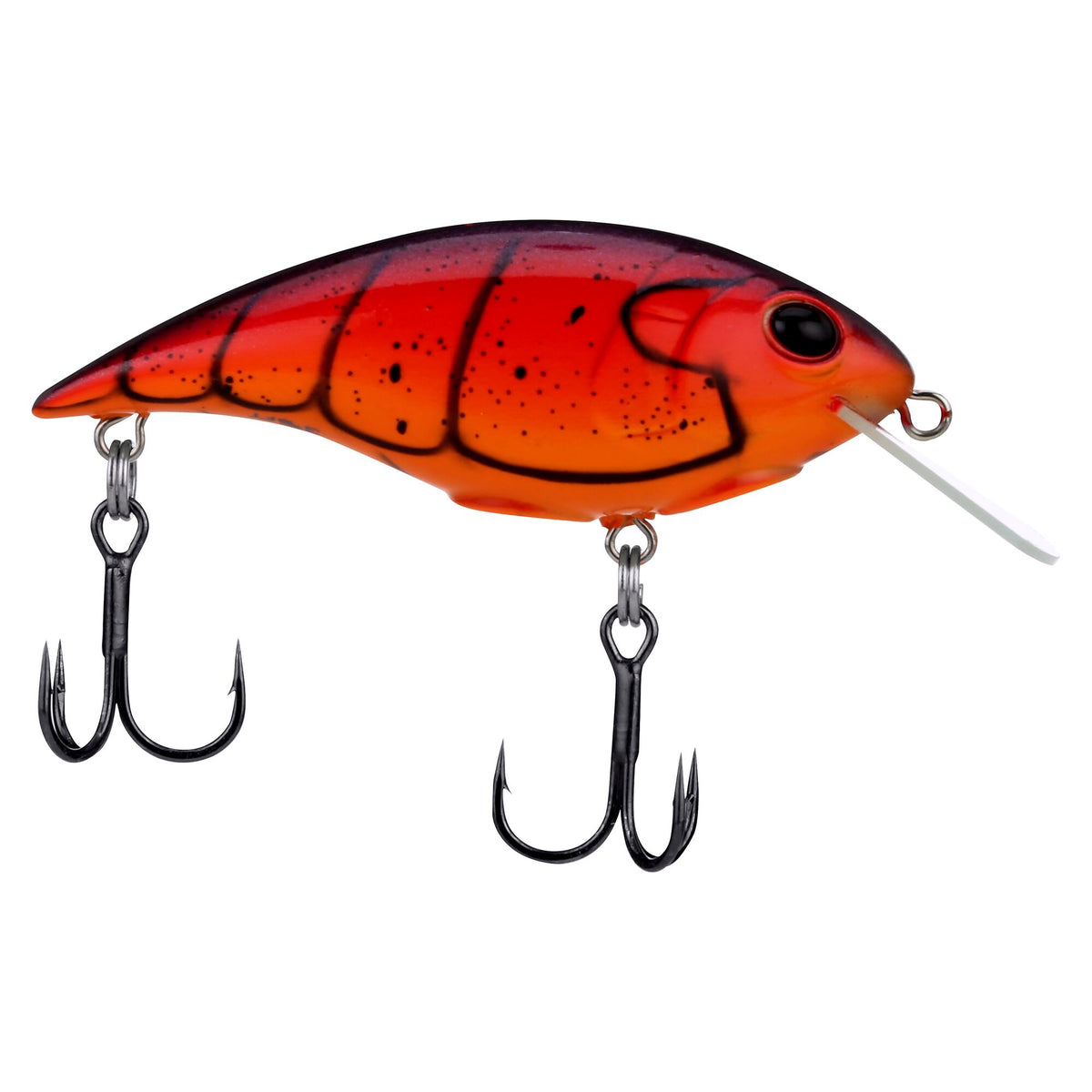 Berkley Shallow Money Badger