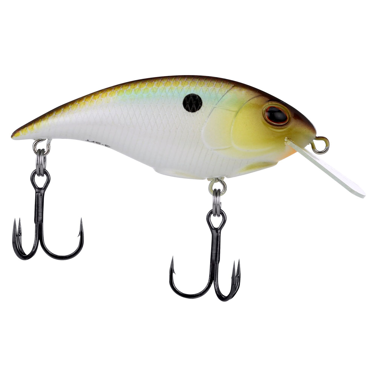 Berkley Shallow Money Badger