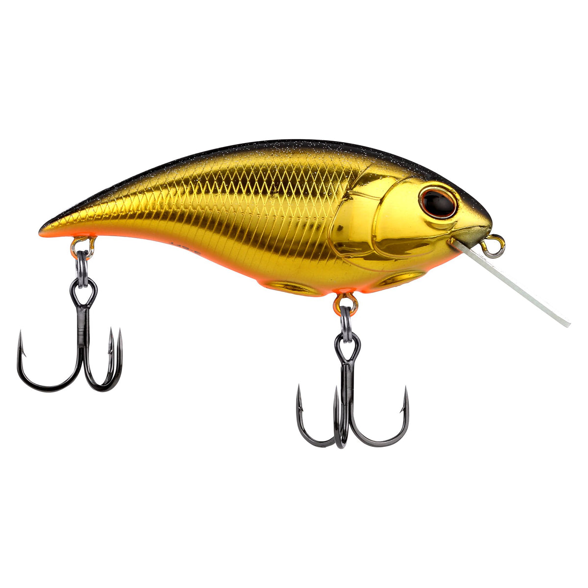 Berkley Shallow Money Badger