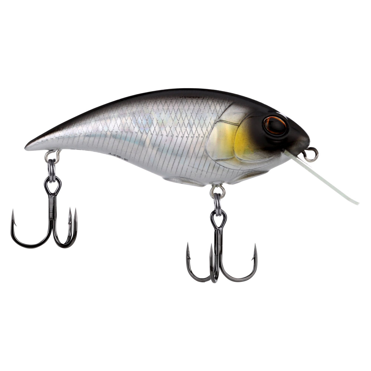 Berkley Shallow Money Badger