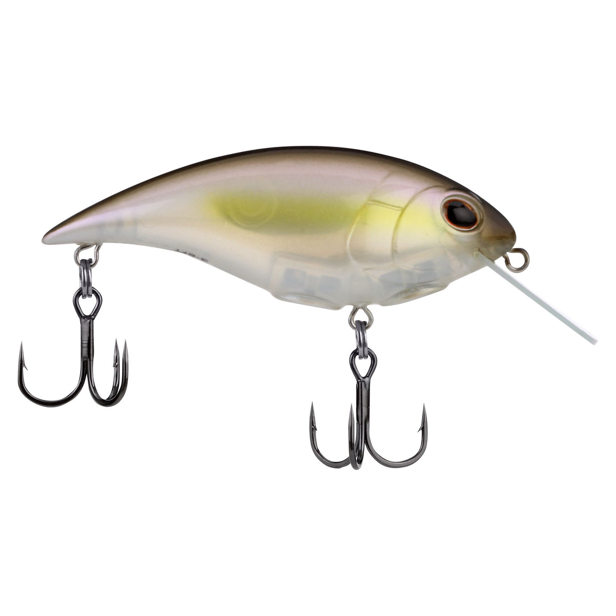 Berkley Shallow Money Badger