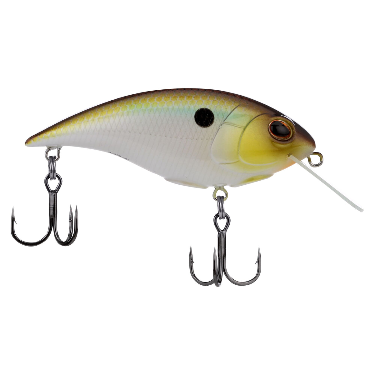 Berkley Shallow Money Badger