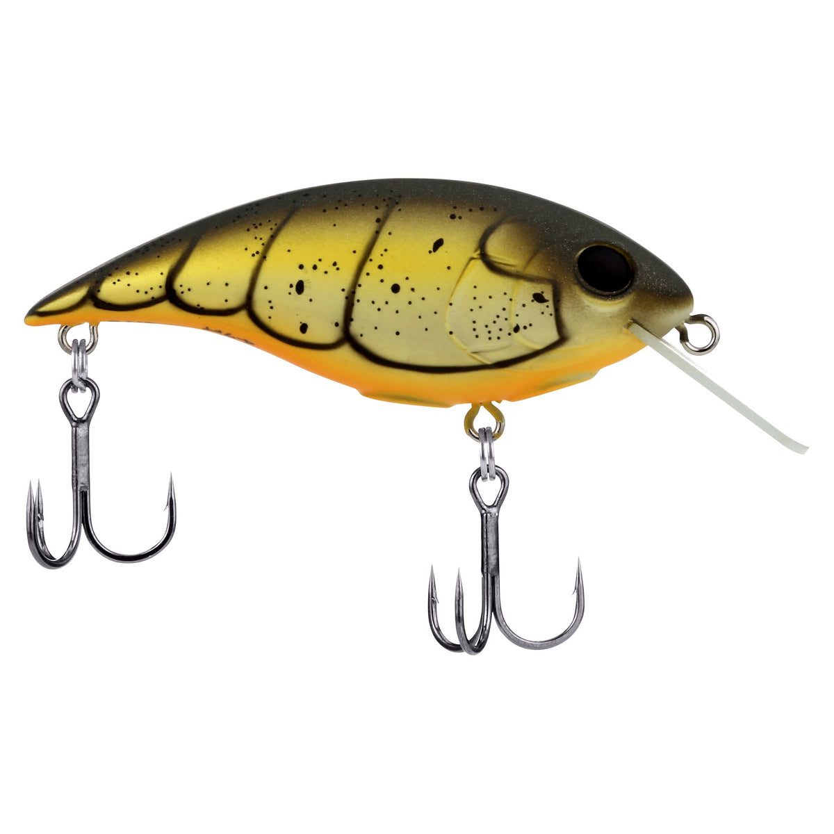 Berkley Shallow Money Badger