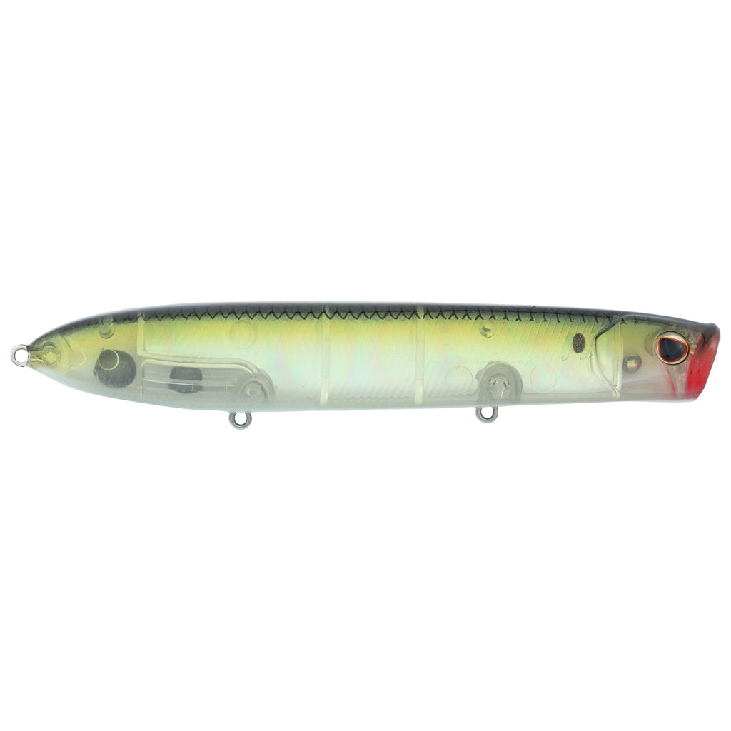 Berkley Cane Walker Saltwater