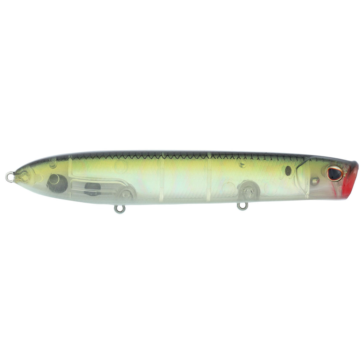 Berkley Cane Walker Saltwater