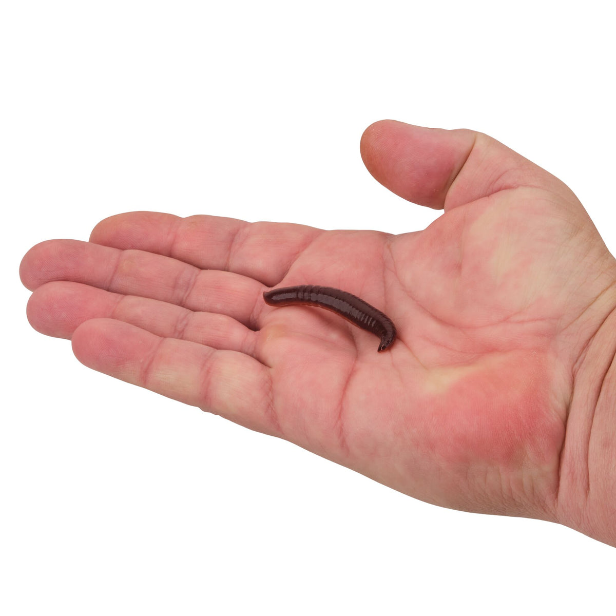 Berkley Gulp!® Pinched Crawler