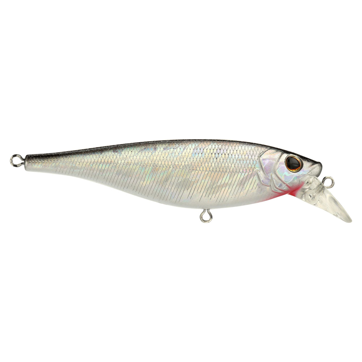 Berkley Juke Saltwater