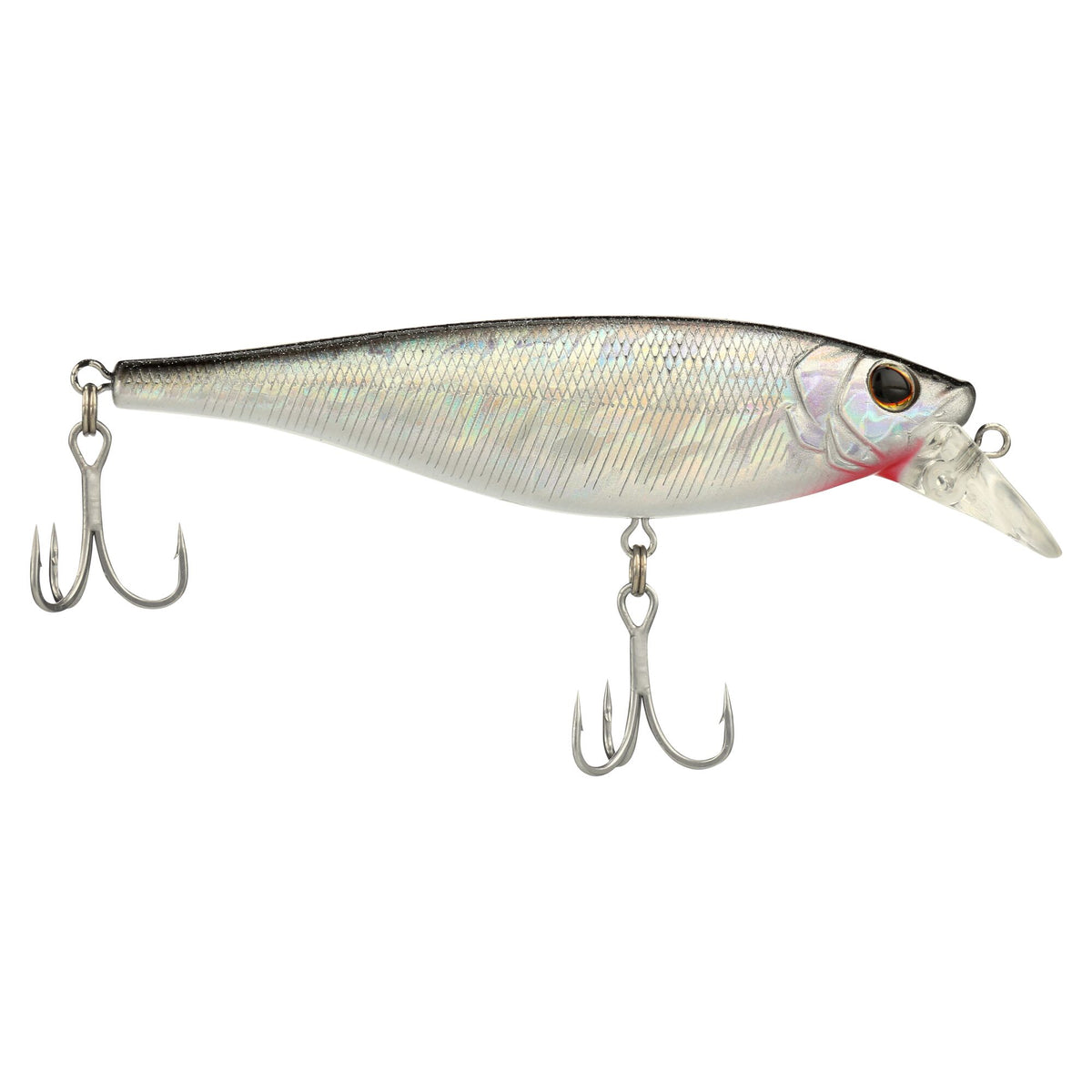 Berkley Juke Saltwater