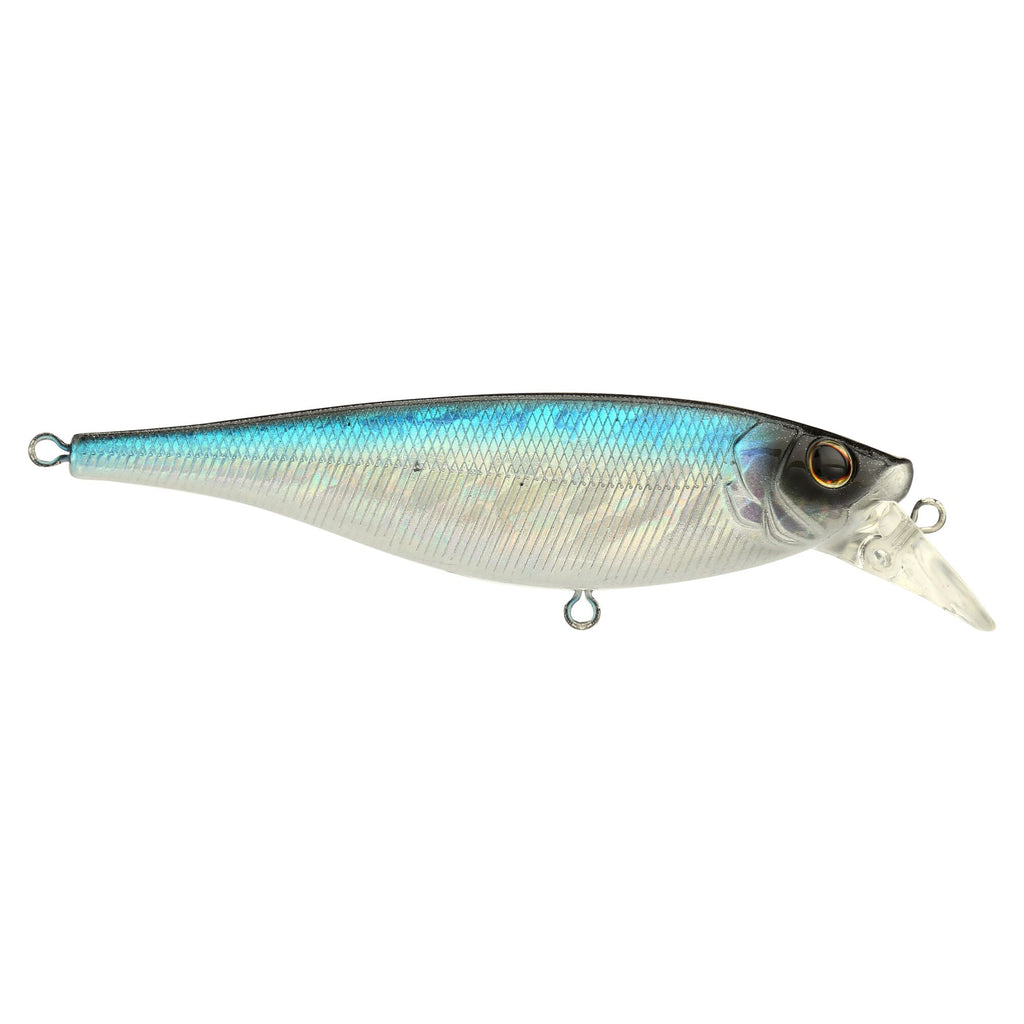 Berkley Juke Saltwater