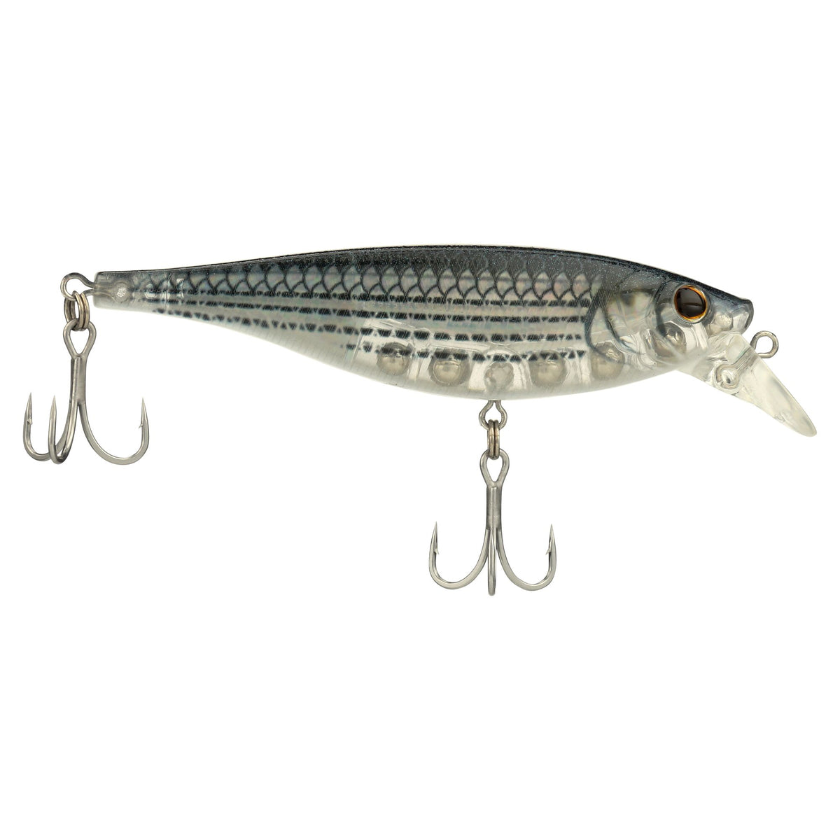 Berkley Juke Saltwater