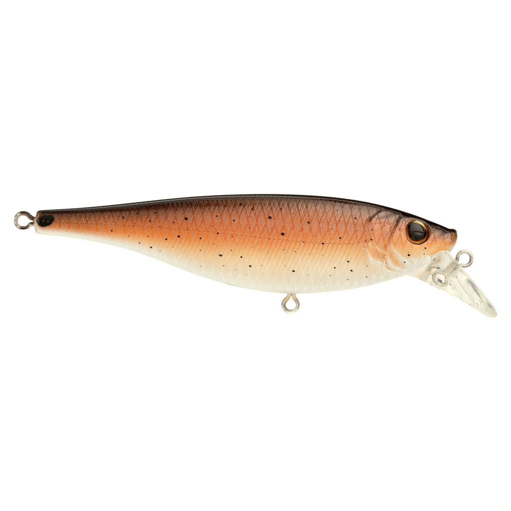 Berkley Juke Saltwater