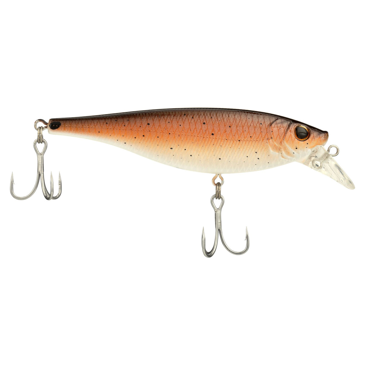 Berkley Juke Saltwater